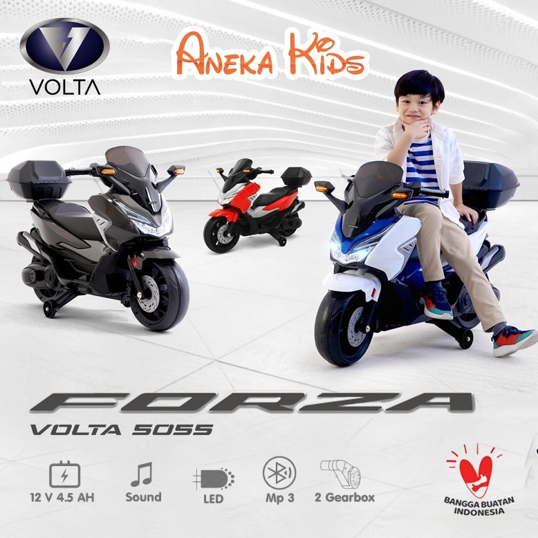 Volta 5055 Honda Forza 12V Double Dinamo Lebih Bertenaga - Sepeda Motor Aki Anak