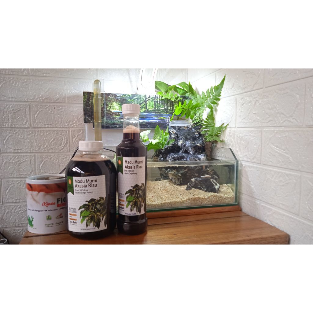 

madu murni akasia riau