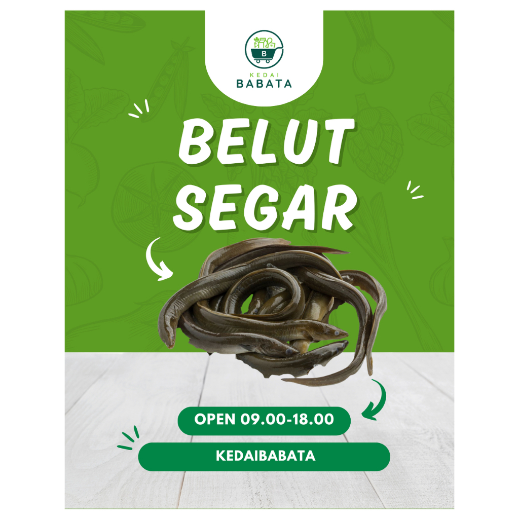 

Belut Baluik Sawah Besar Segar Fresh 250gr Ikan Kedai Babata Padang