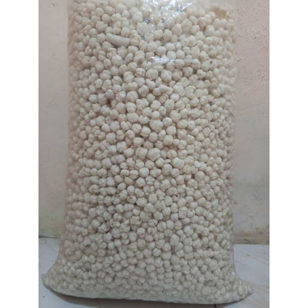 

Pilus Kencur | TikTak Cikur |3kg Dan 5kg | Toping Seblak, Baso, Cemilan Tradisional