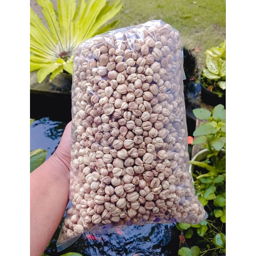 

[10KG] KAPULAGA KERING BERSIH ORIGINAL KEMASAN 10KG