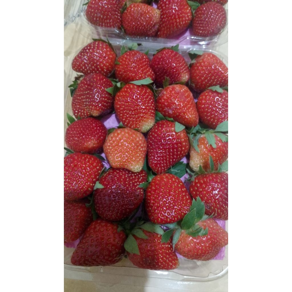 

strawberry fresh
