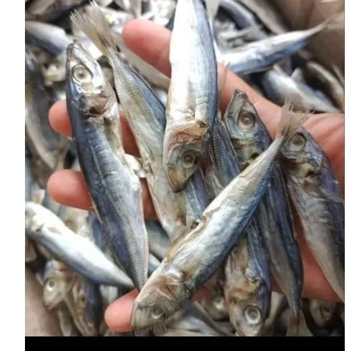 

IKAN ASIN IKAN BAWEAN