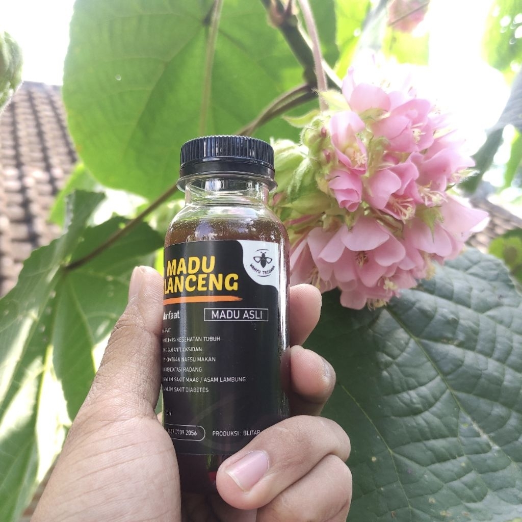 Madu Klanceng/ Trigona biroi 100ml
