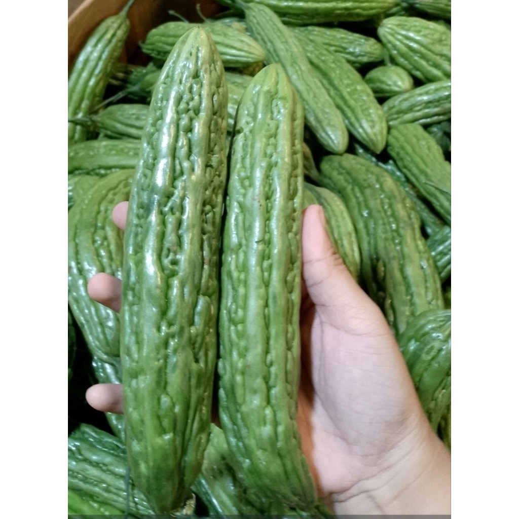 

Pare Paria Sayur Segar 250gr