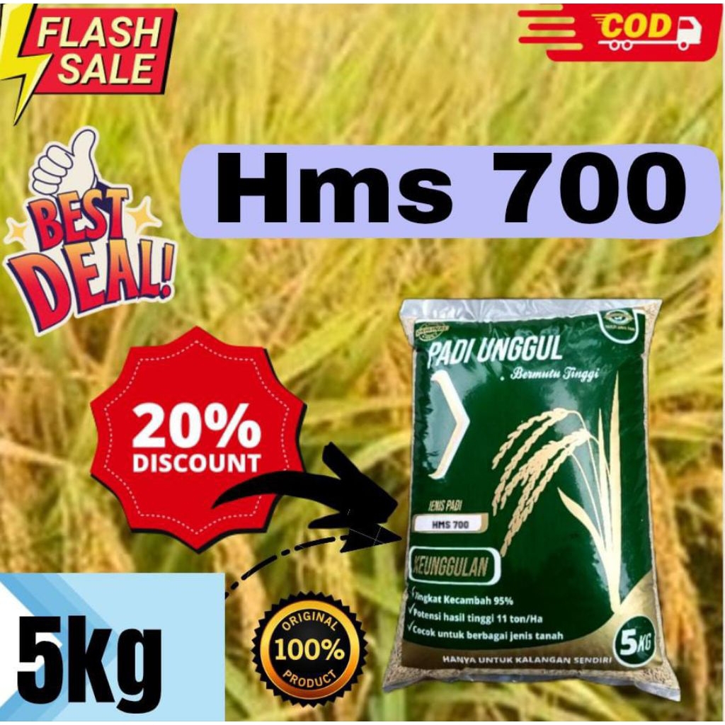 

padi Hms 700 original, kemasan 5kg termurah