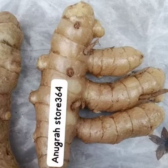 

Kunyit putih segar 1 kg fresh segar / bersih / Temu putih di ambil langsung dari kebun