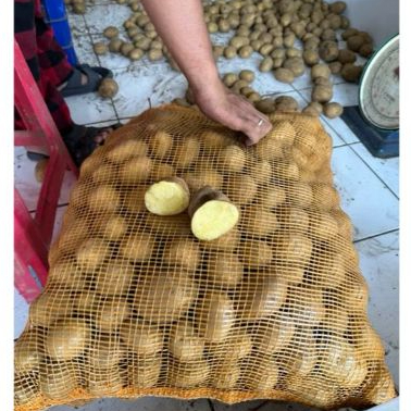 

Kentang Dieng Sedang 1 KG