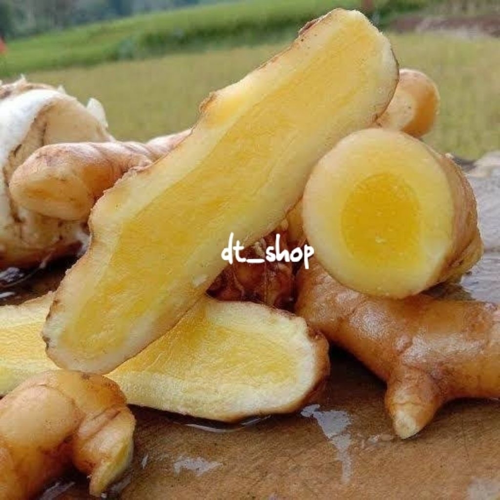 

Temu mangga segar bersih 1 kg