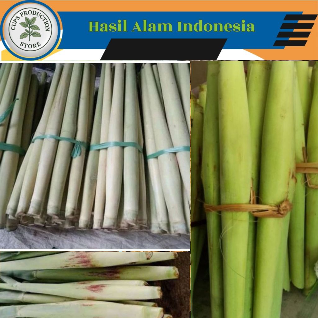 

Turubuk Sayur Segar / Telur Tebu 500 gram langsung petik dari kebun