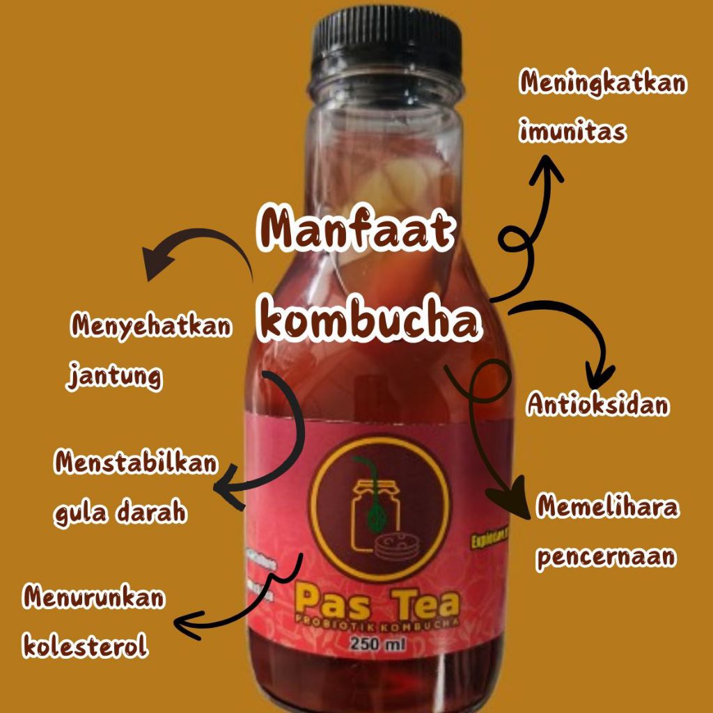 

PASTEA TEH KOMBUCHA 250 ML, TEH PROBIOTIK, TEH KOMBUCHA SIAP MINUM