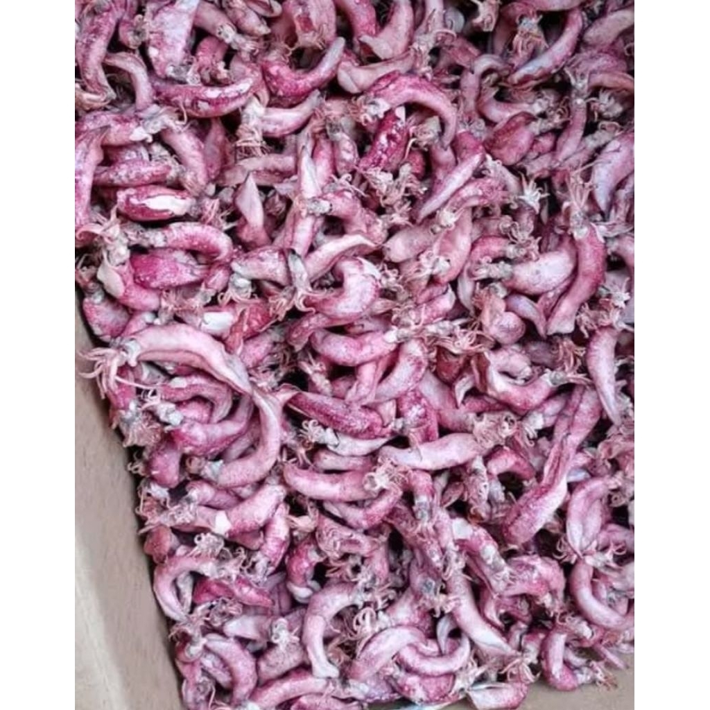 

IKAN ASIN SERBA 10.000