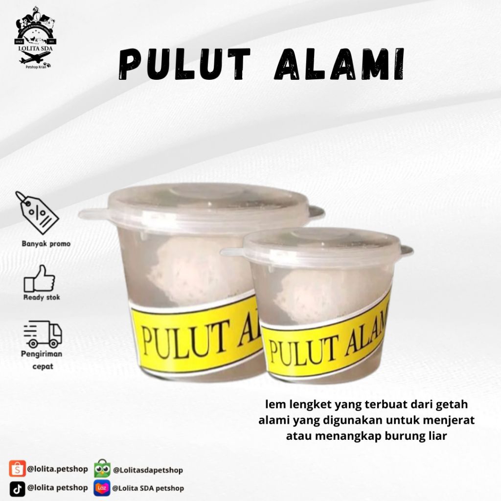 pulut alami pulut burung