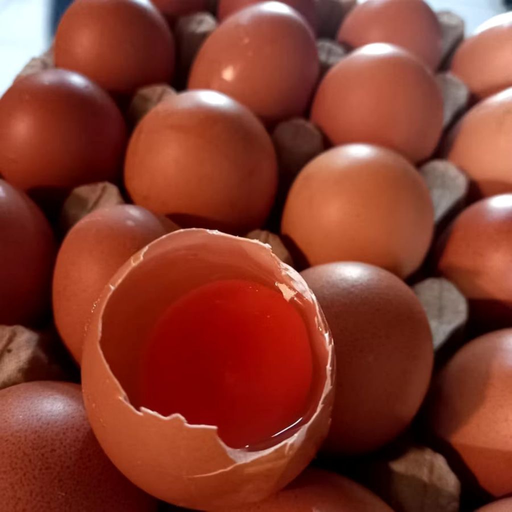 

Telur ayam omega 1kg