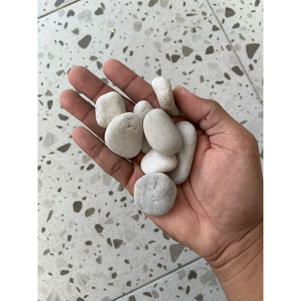 Batu Taman Putih 1kg / Termurah / Batu Coral Putih Kupang / Batu Kupang / Batu Taman Putih