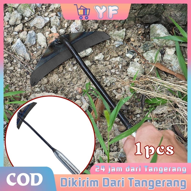 Untuk Rumput Di Kebun Pertanian Cangkul Penyiang Cangkul Kecil