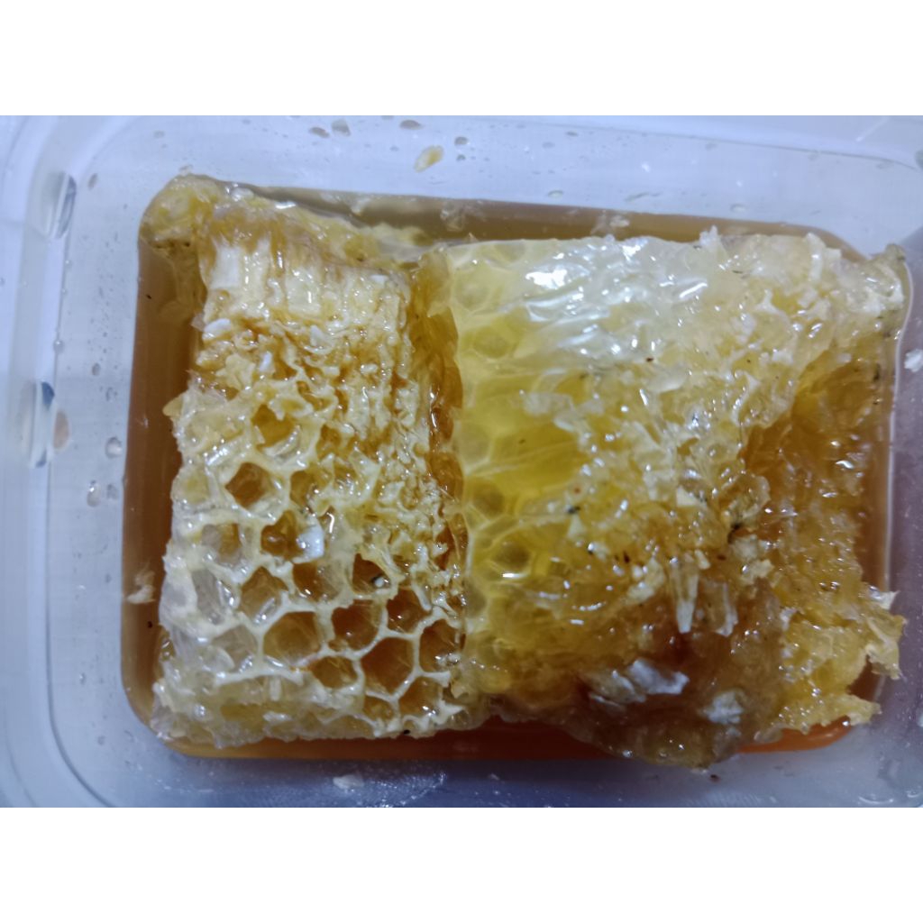 

Madu Sarang Lebah Liar Sumatra Utara 250gr