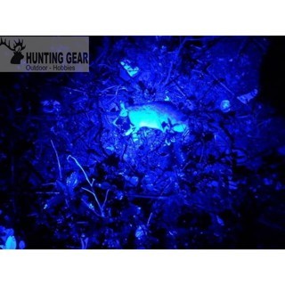 Senter Berburu/Senter C8 Blue Torchlight