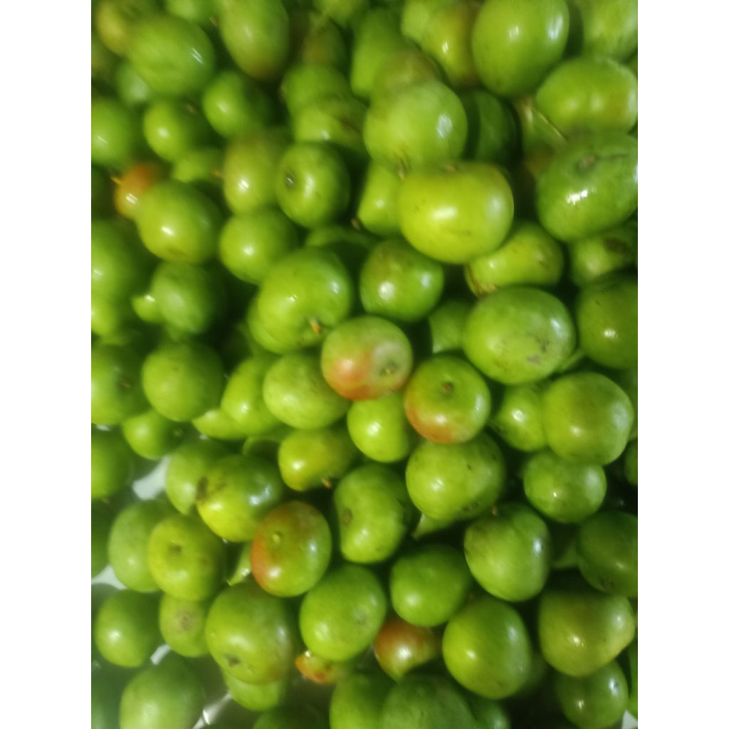 mangga muda apel kecil 500 gram