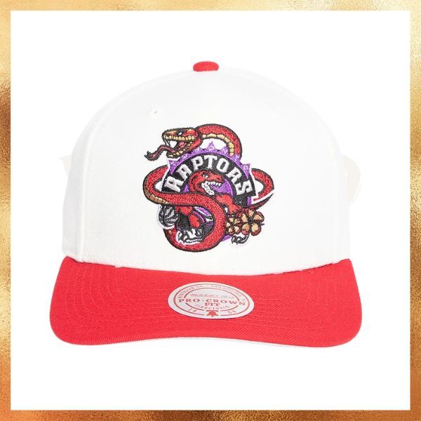 Topi Mitchell & Ness NBA Tortonto Raptors Snake Pro Crown HWC Hat