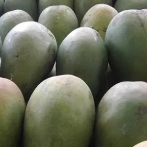 

Mangga Arumanis 1kg