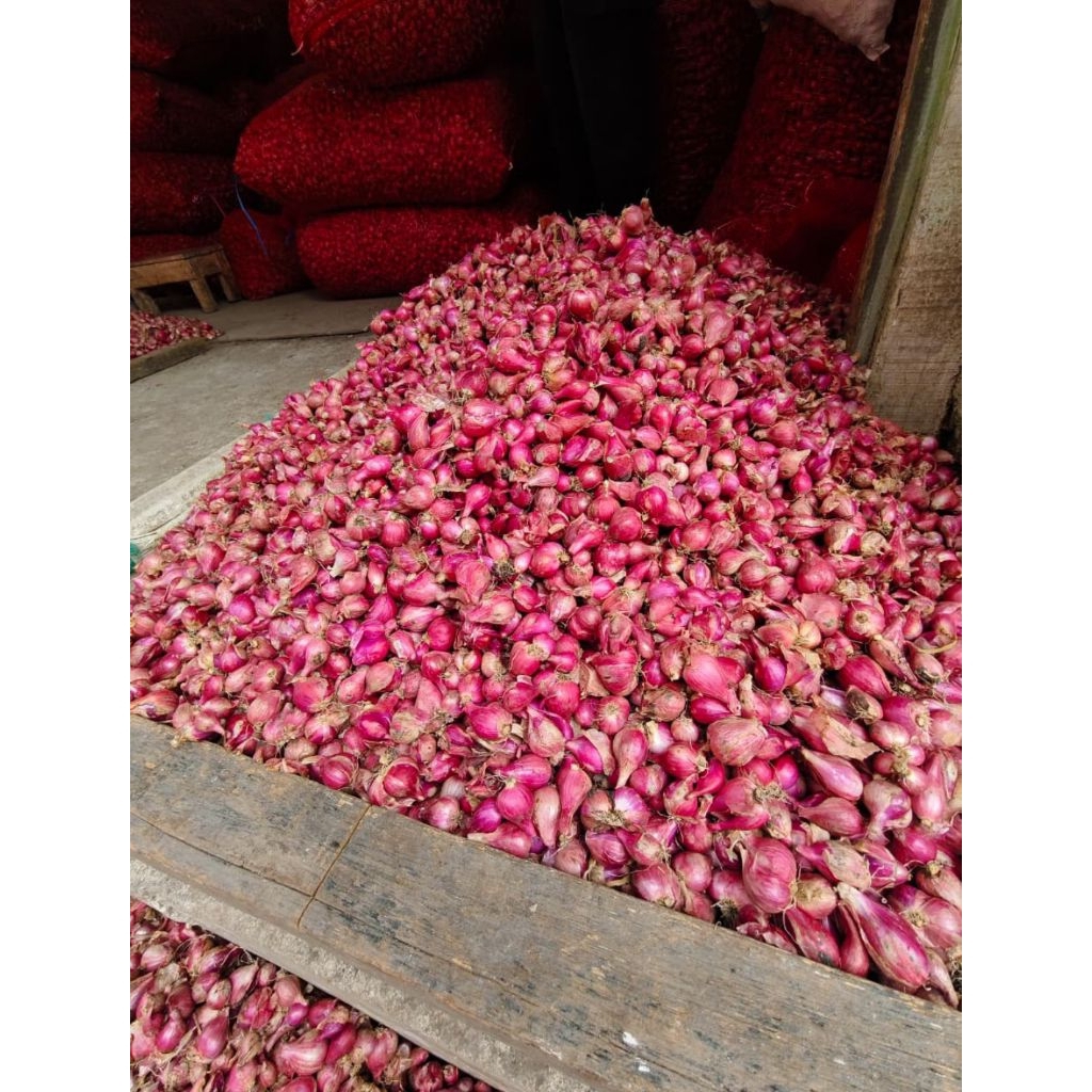 

Bawang Merah Murah 1 Kg Berkualitas|Termurah|BawangMerah|BumbuMasak|BumbuDapur|Termurah