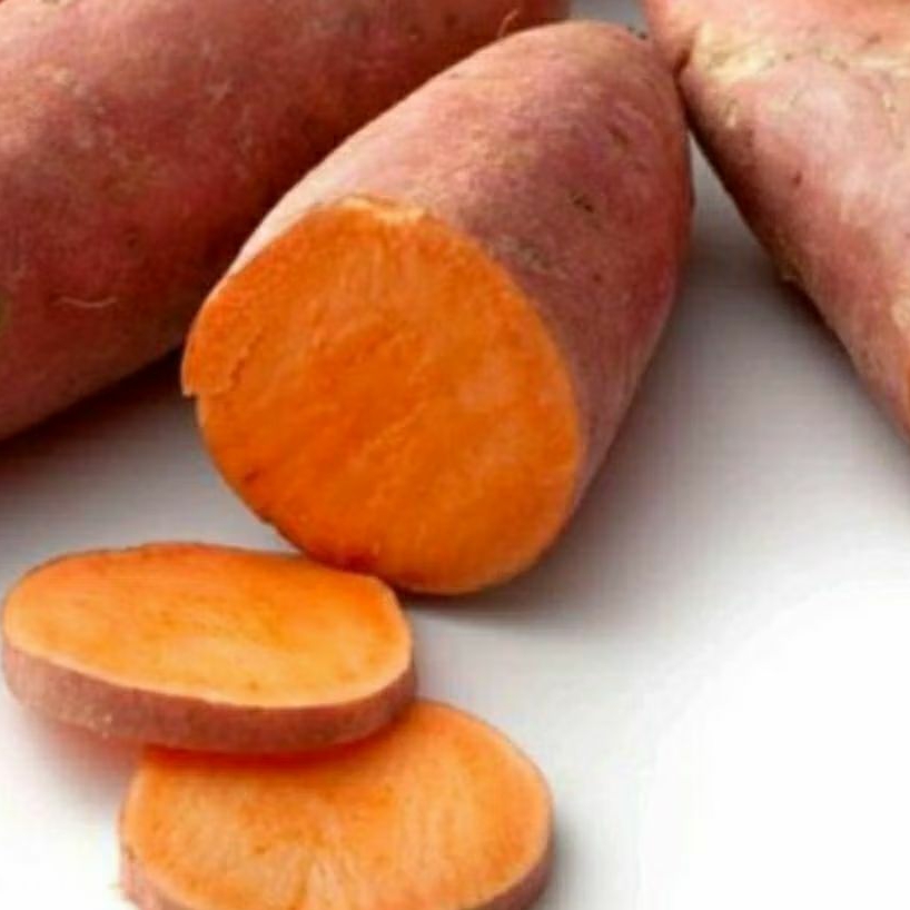 

UBI MERAH SEGAR FRESH LOKAL MANIS LEGIT