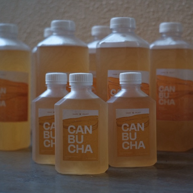 

Kombucha Canary CANBUCHA - Minuman Teh Fermentasi