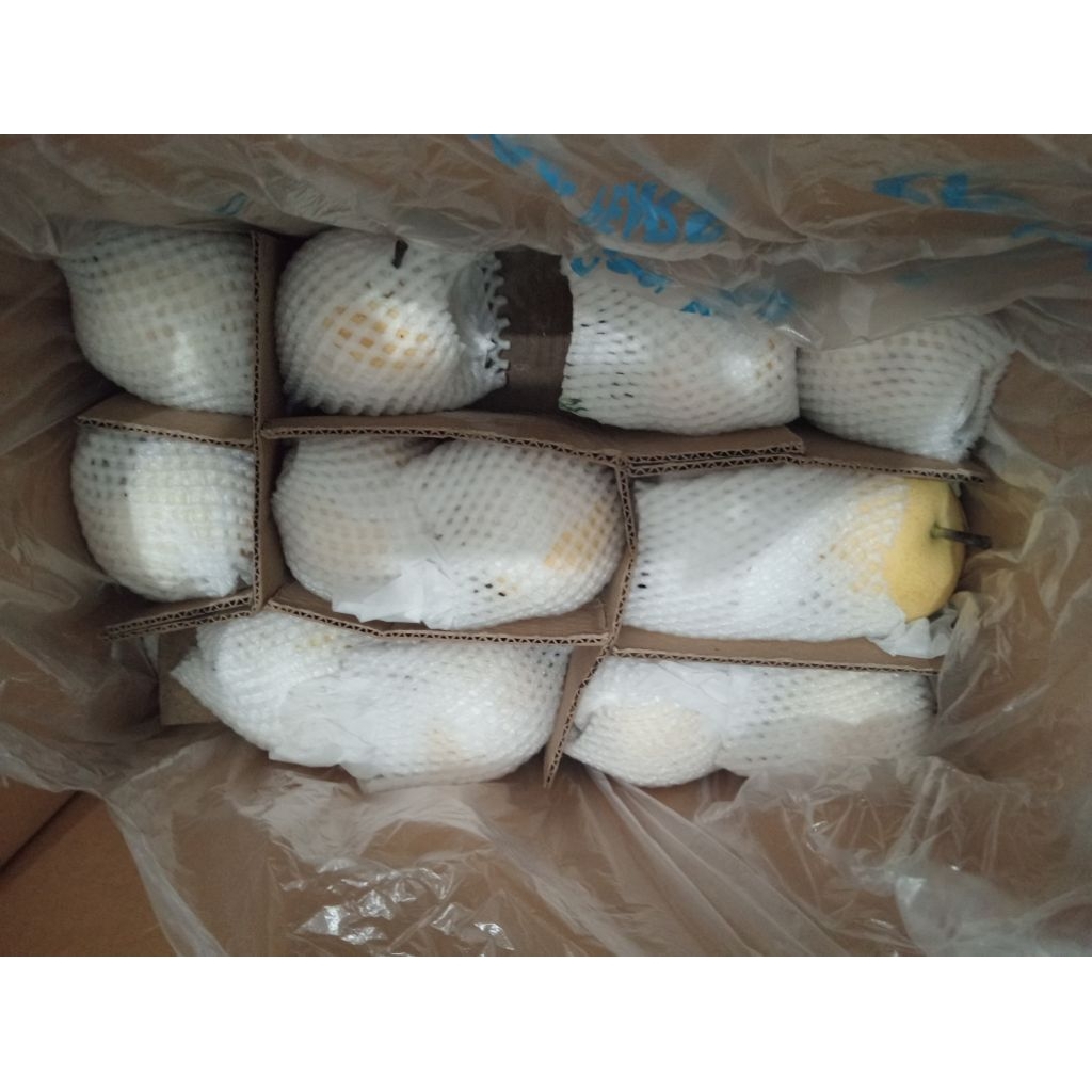 

Pear Century Pir Century Impor 1 kg - Buah Segar & Sehat Berkualitas Premium