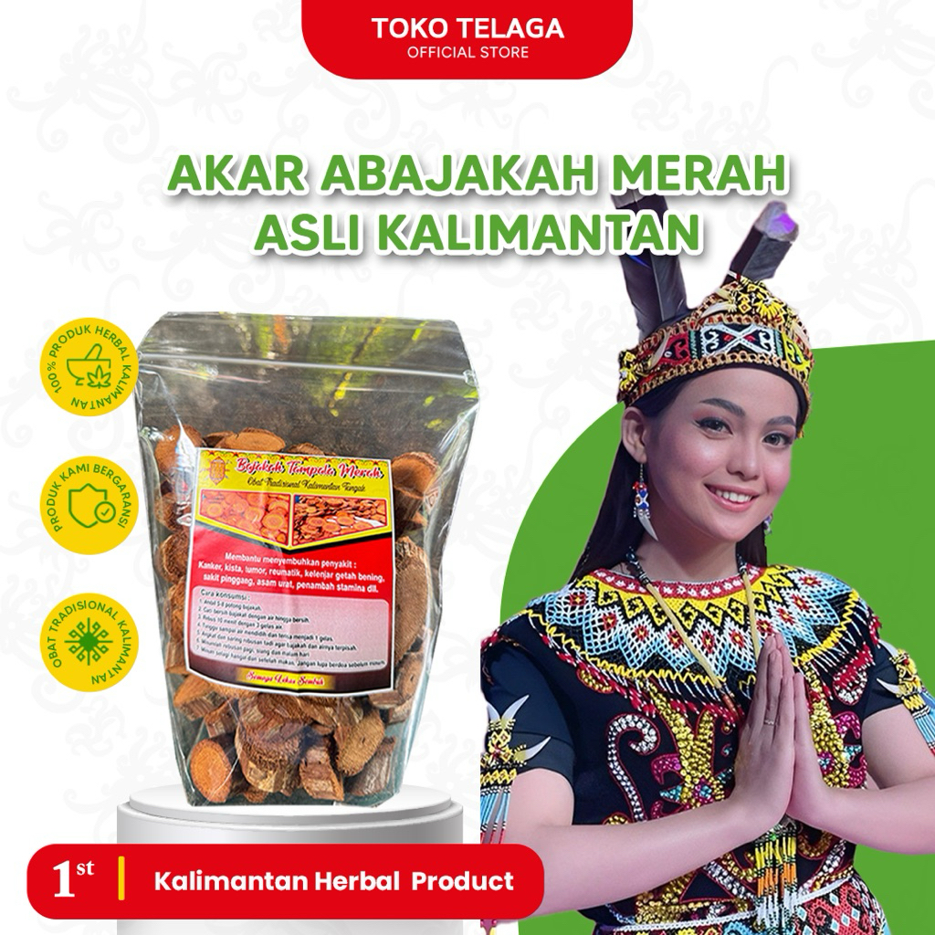

AKAR BAJAKAH ASLI DARI KALIMANTAN TENGAH DAPAT 2 BUNGKUS