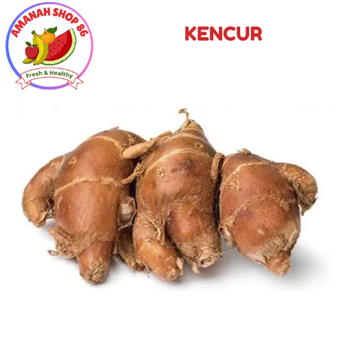 

PROMO Kencur Kualitas baik 1 kg