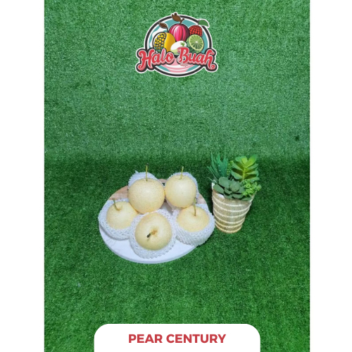 

BUAH Import Pear Century 1kg