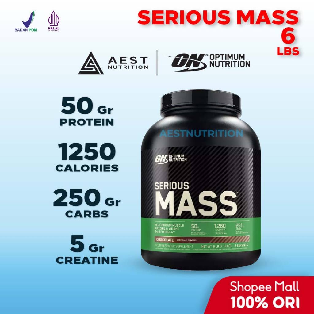 ORIGINAL Optimum Nutrition Serious Mass 6 lbs - Susu Protein Weight Gainer ON Supplement Gym