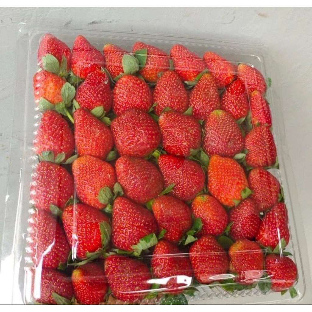 

Strawberry Fresh 1kg