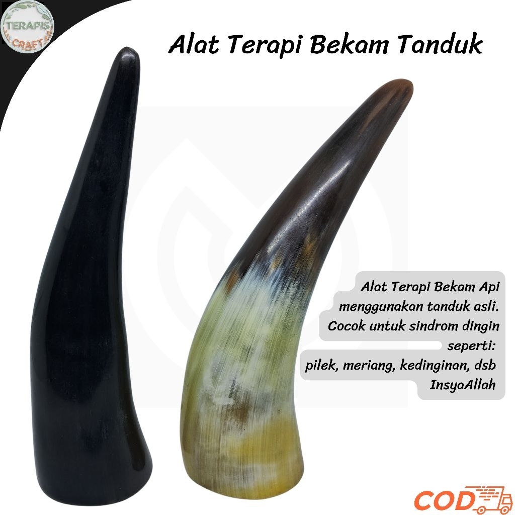 Alat Terapi Hijamah Bekam Tanduk Tradisional Bekam Api dari tanduk Asli Tebal dan Tidak Sakit