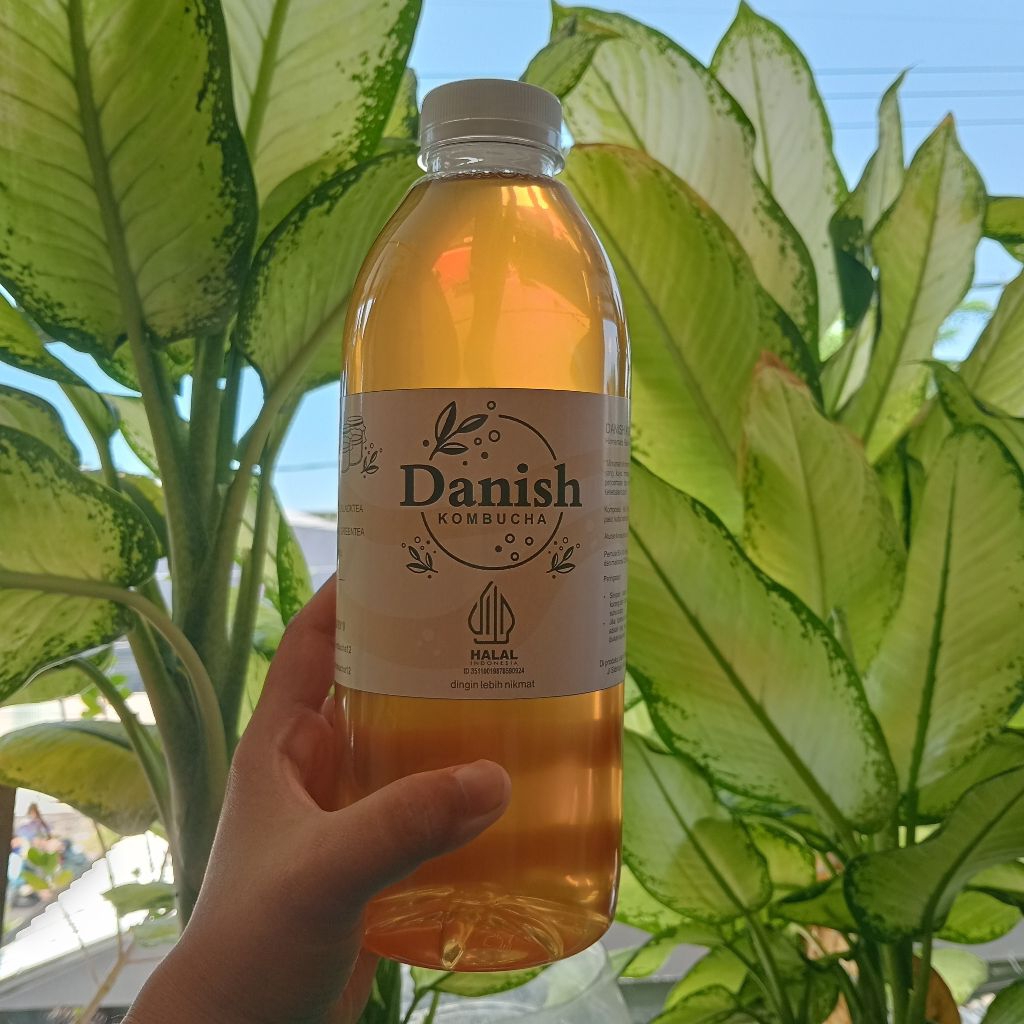 

kombucha original 1liter teh fermentasi teh kombucha danishkombucha12