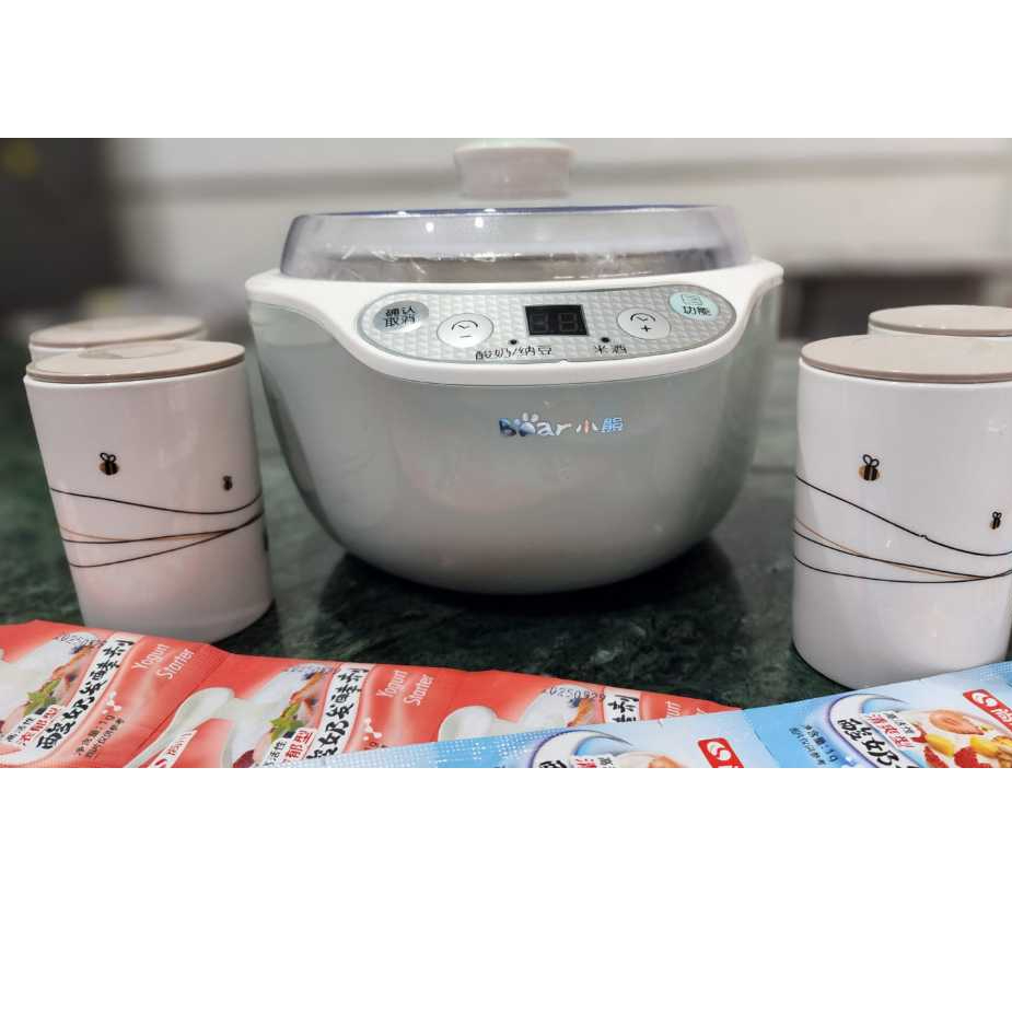 Yoghurt maker BEAR, Mesin Fermentasi Yoghurt BEAR, Yoghurt maker