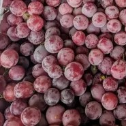 

anggur merah cina 500g