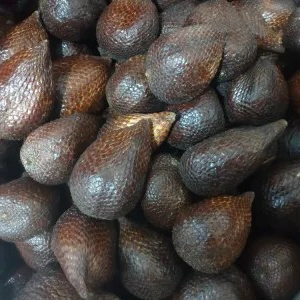 

salak pondoh kecil kecil 500g