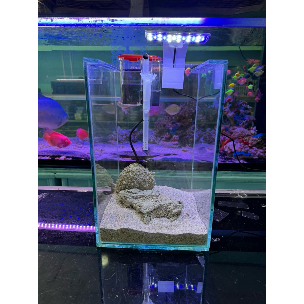 paket full set aquarium alas 8mm sisi2 5mm air tawar/laut 20x20x30 tinggal isi air dan ikan