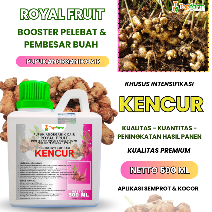 Pupuk Pelebat Buah Kencur/ Pupuk Kencur Cair/ Pupuk Buat Tanaman Kencur/ Pupuk Booster Pemacu Pembes