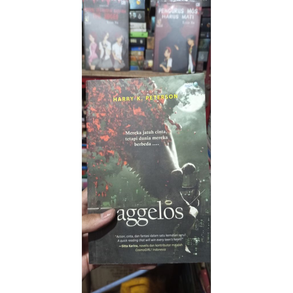 Aggelos - Harry K. Peterson | Novel Fantasi Romantis Original - Ilmoe Store