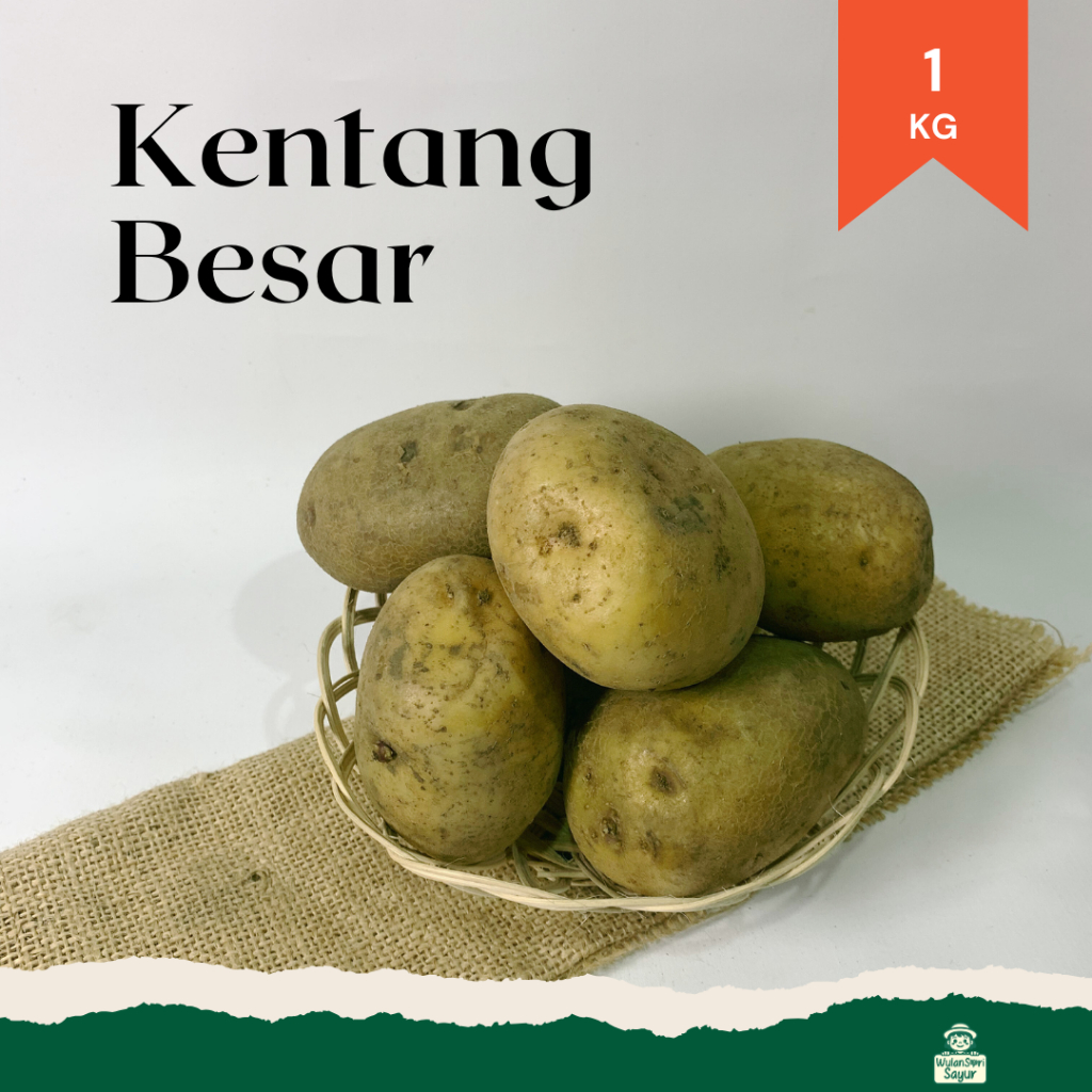 

Kentang Besar Premium Pilihan 1 Kg | Tekstur Padat, Cocok untuk Olahan Kentang Goreng, Kentang Rebus & Masakan Rumah