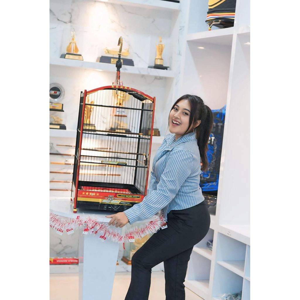 (ORIGINAL) Sangkar Andri Bolang Production Kotak No.2 Andri Bolang Water Slide Decal Sangkar Kotak C