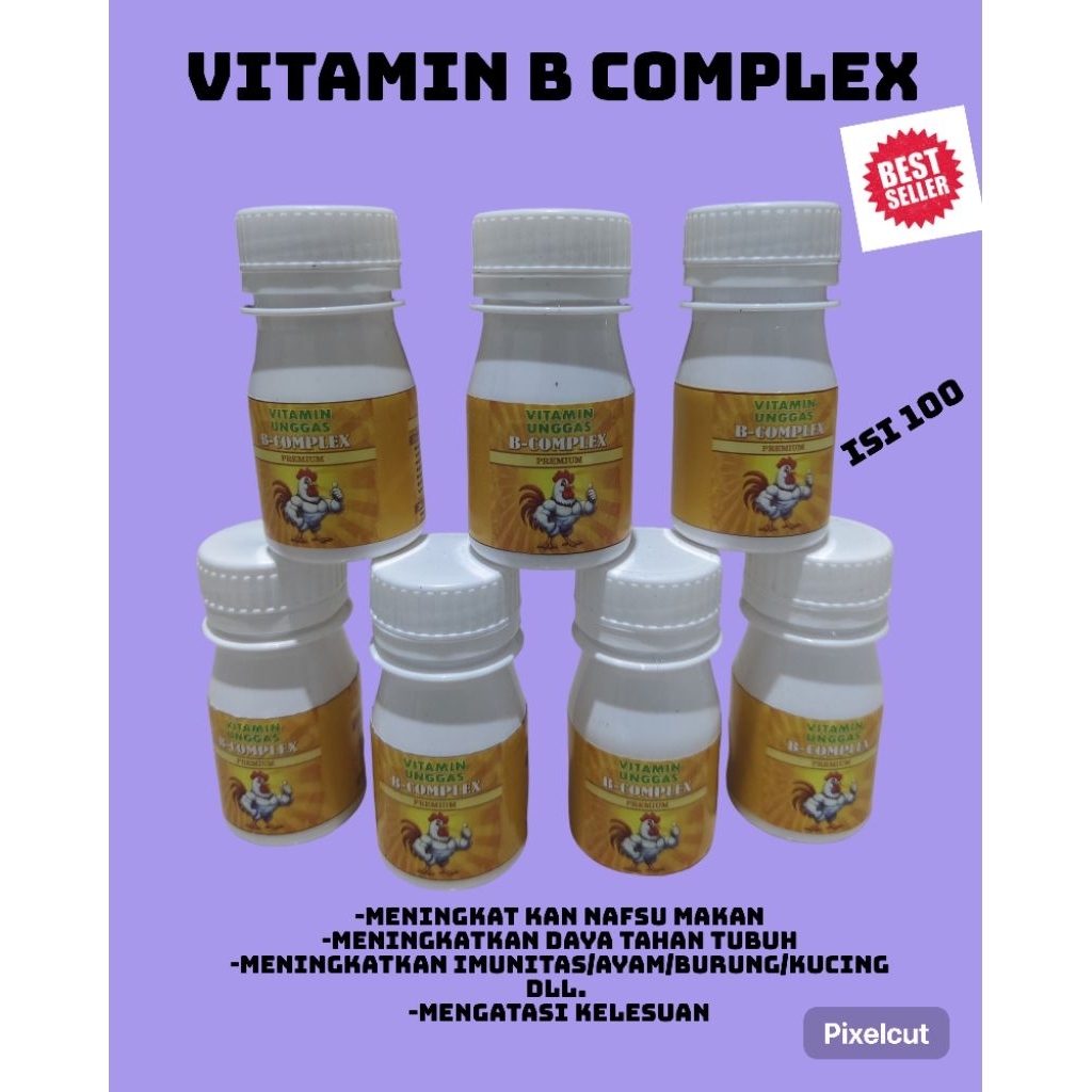 VITAMIN B COMPLEX ayam/burung/kucing/anjing dll.