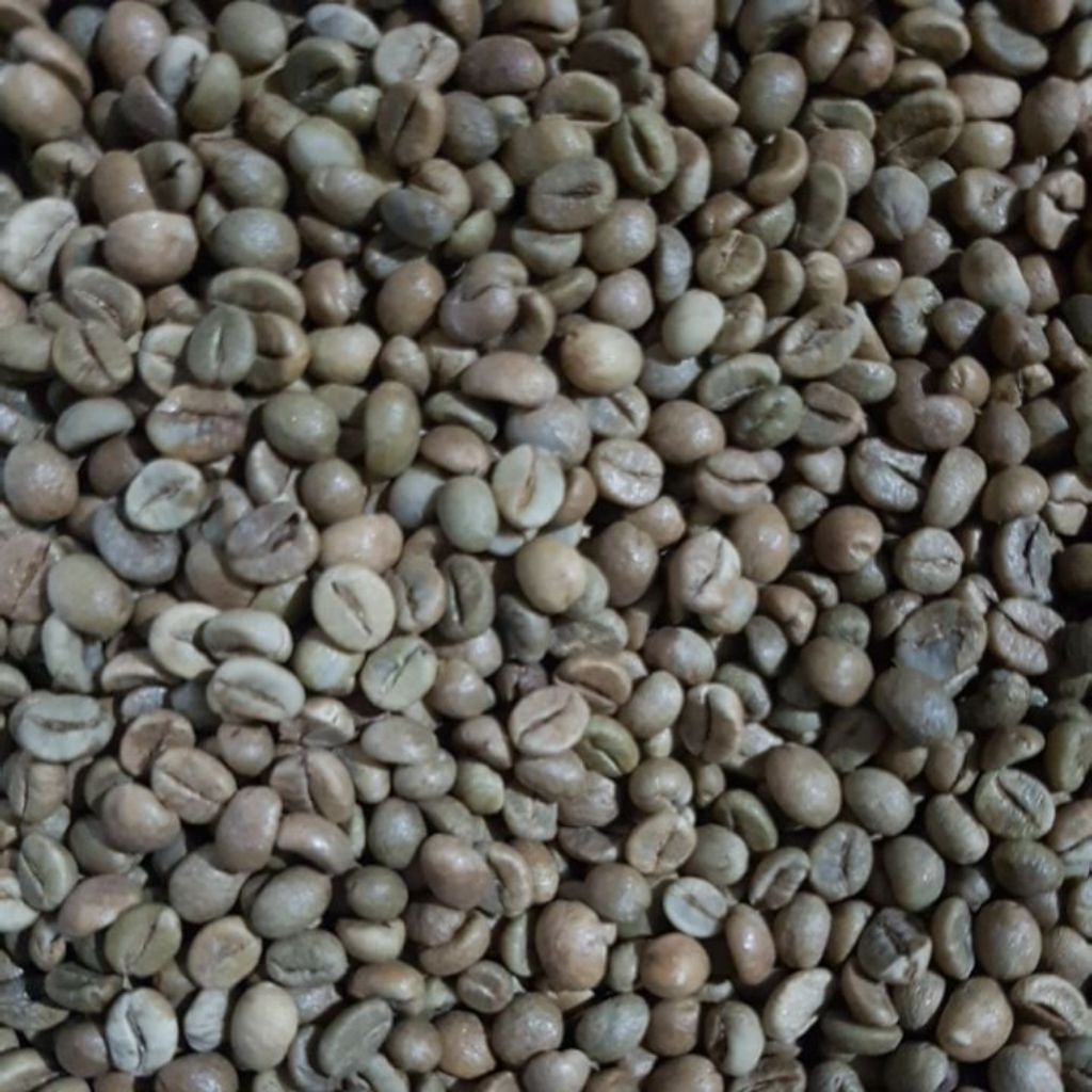 

Green Bean Robusta Purbalingga 1kg