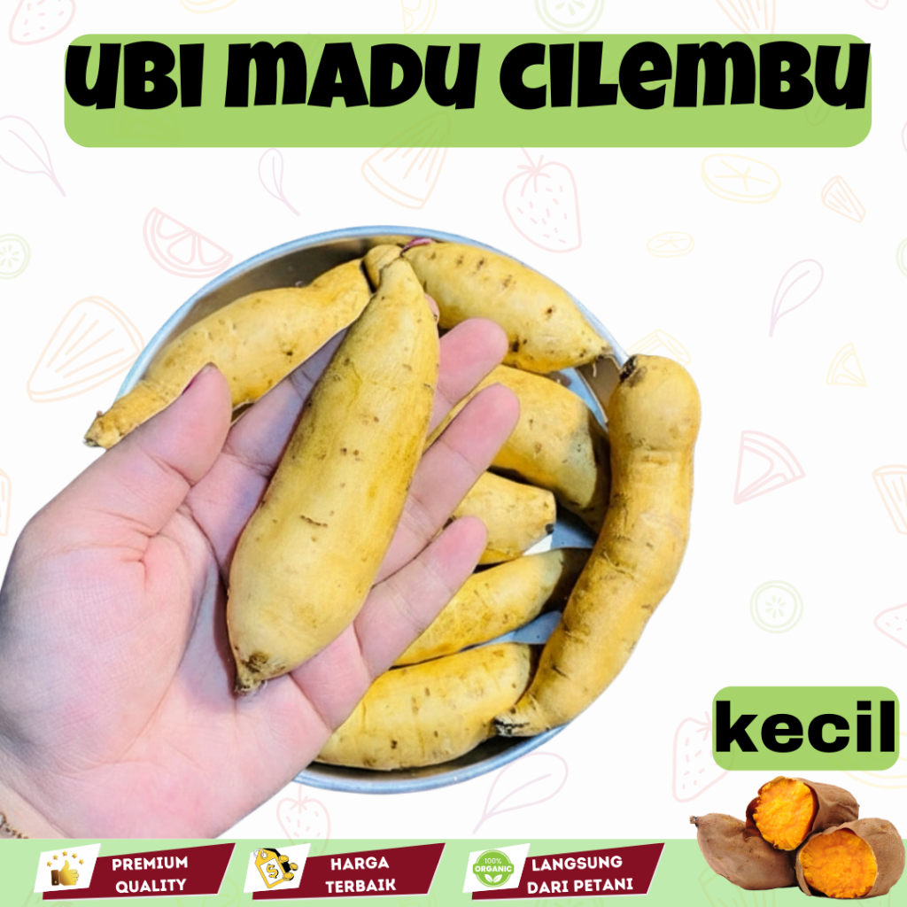 Ubi Madu Cilembu Premium 1Kg Manis Legit Ubi Cilembu Madu Siap Bakar Oven Garansi Fresh Langsung dar
