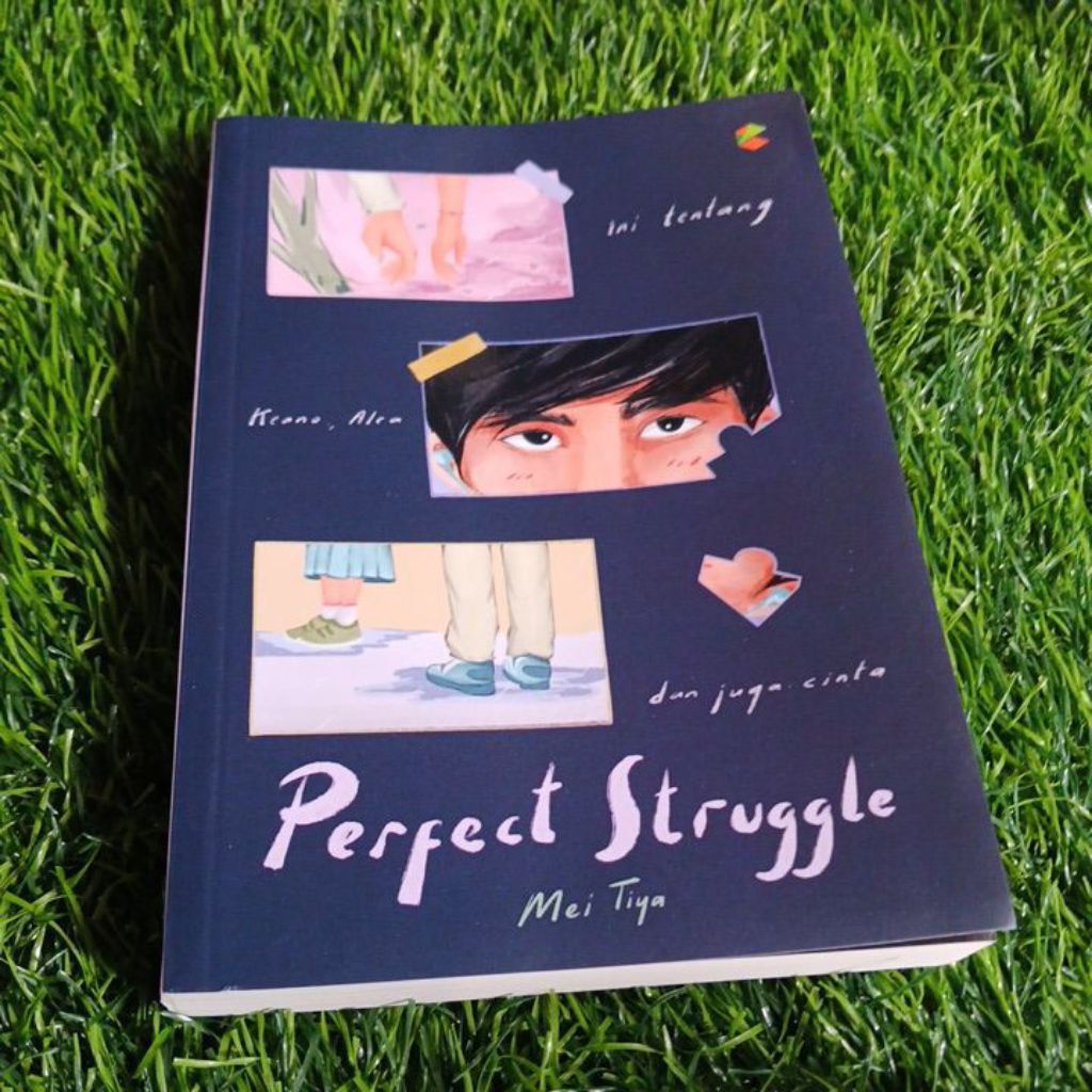 buku perfect struggle
