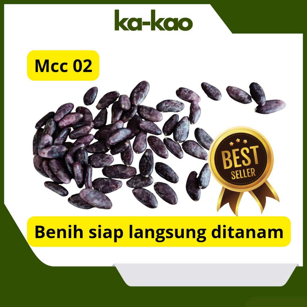 Paket Biji/Benih/Polong Kakao MCC 02 Siap Semai – Kualitas Unggul