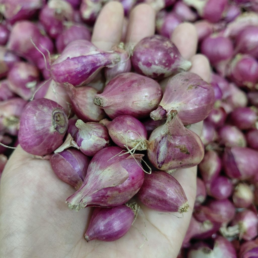

Bawang Merah Bersih Kering 1kg | free 100g Bawang Putih